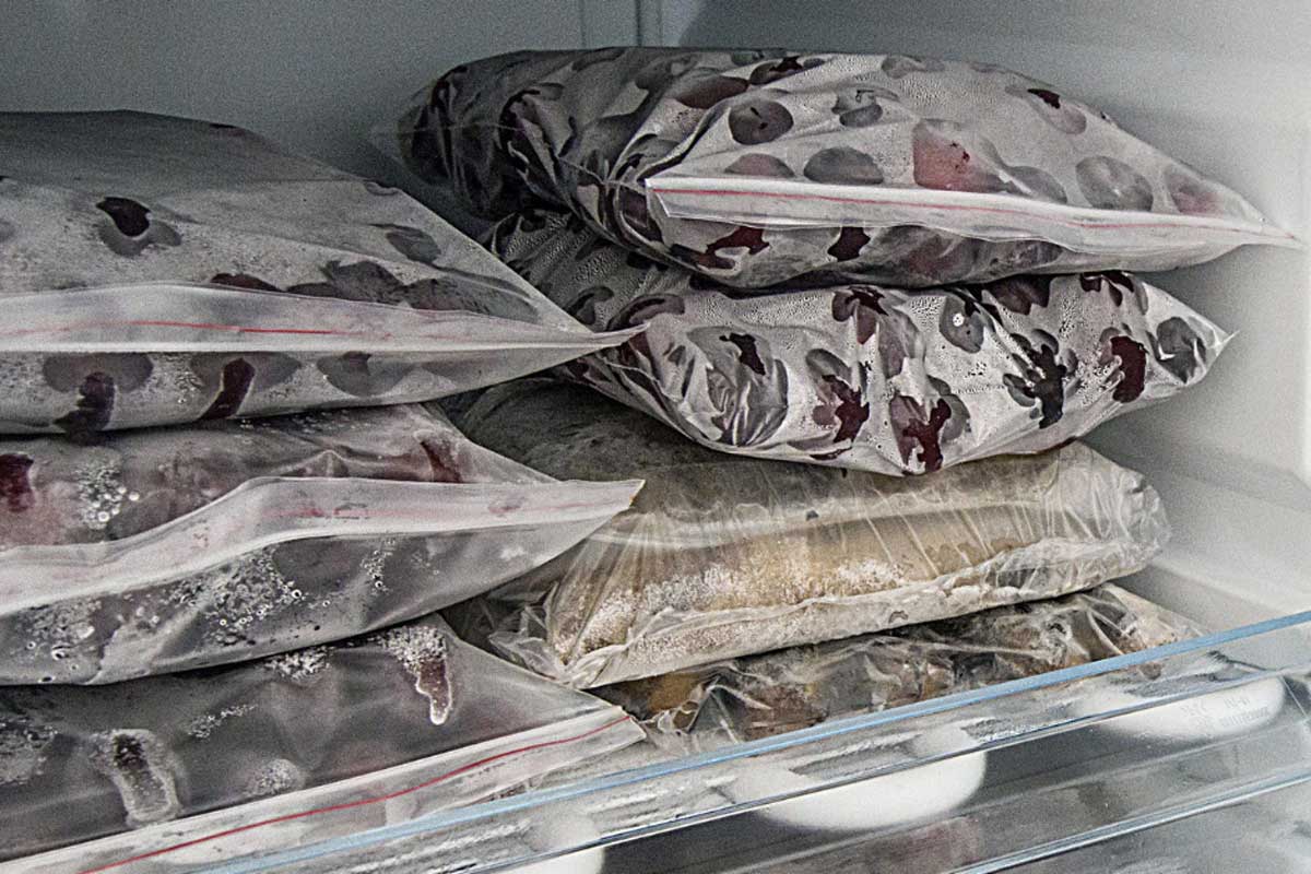 ¿Por qué la congelación es una de las técnicas de conservación más eficaces para los alimentos?